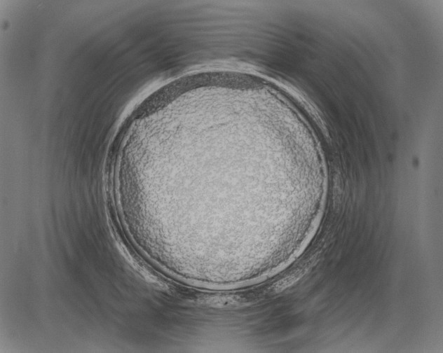 X0000081600998200702121545