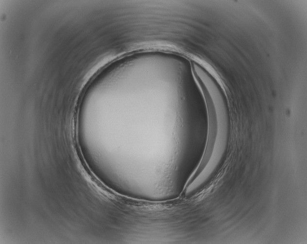 X0000081600999200702121545