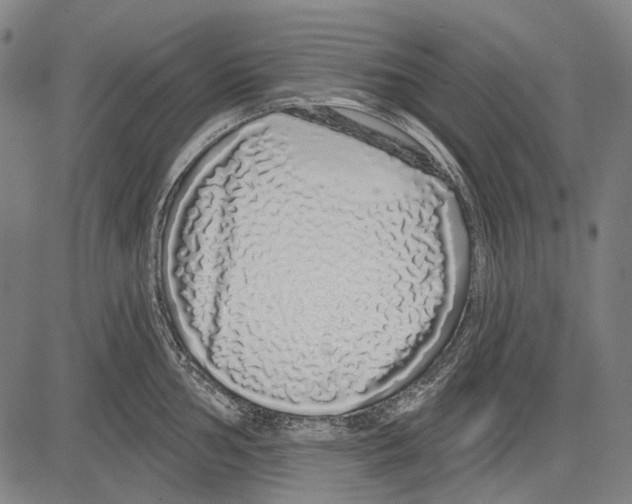 X0000081601002200702121545