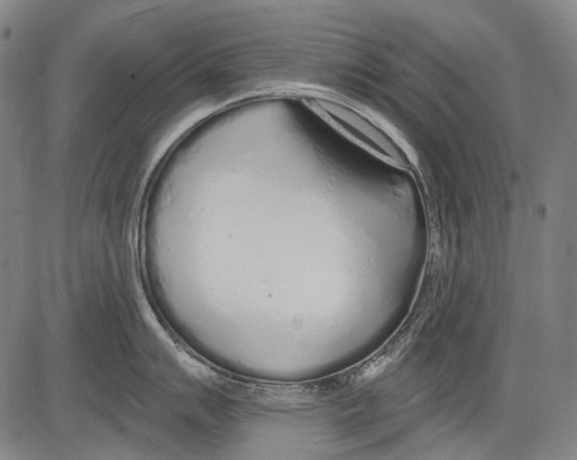 X0000081601007200702121544