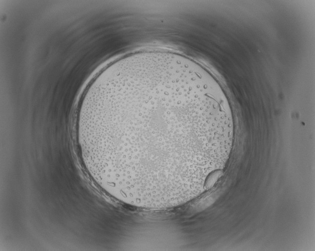 X0000081601008200702121544