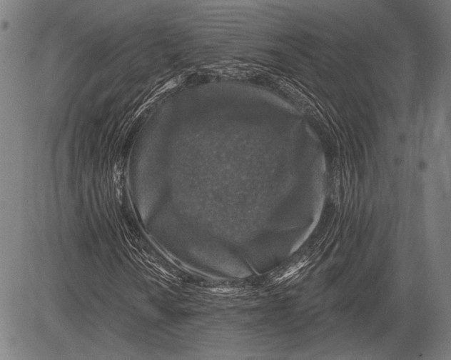 X0000081601010200702121544