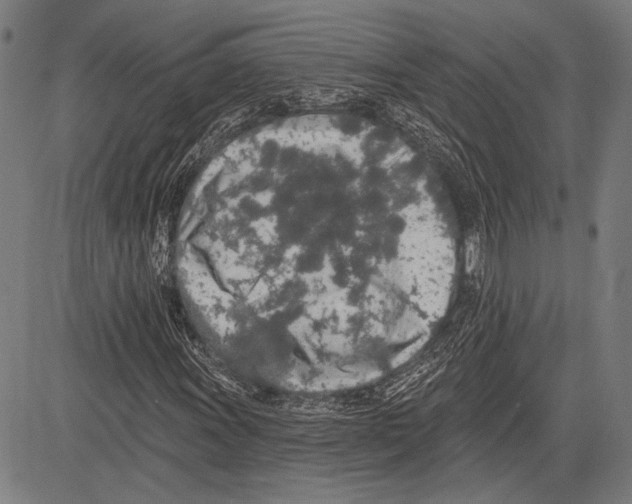 X0000081601011200702121544