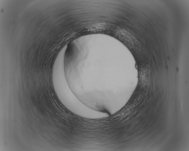 X0000081601012200702121544