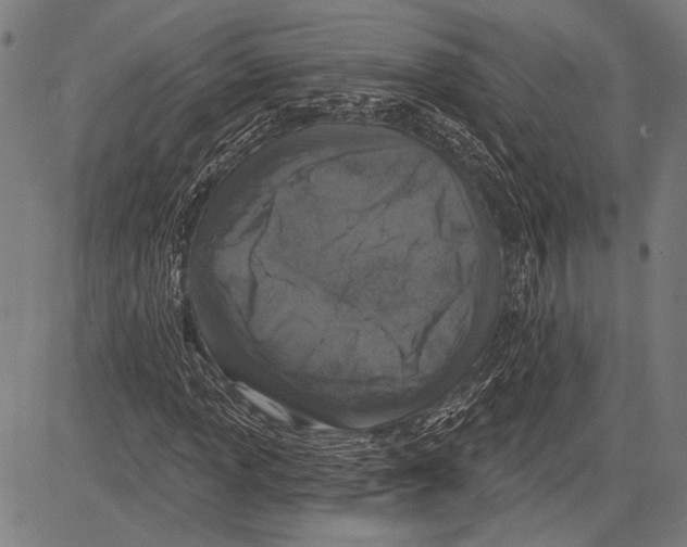 X0000081601013200702121544