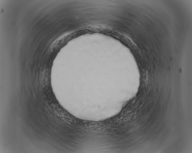 X0000081601016200702121544