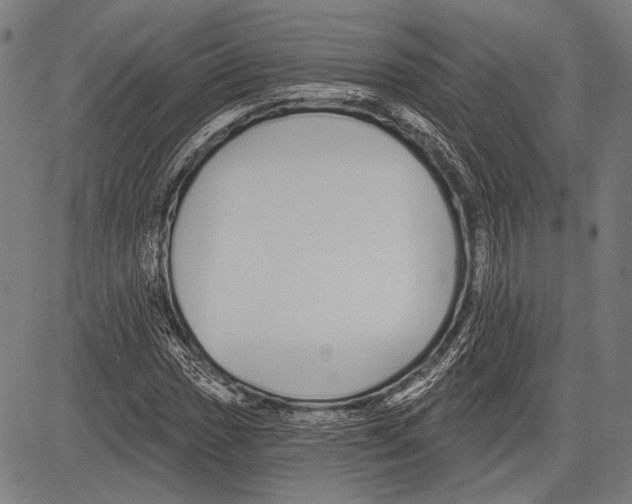 X0000081601017200702121544