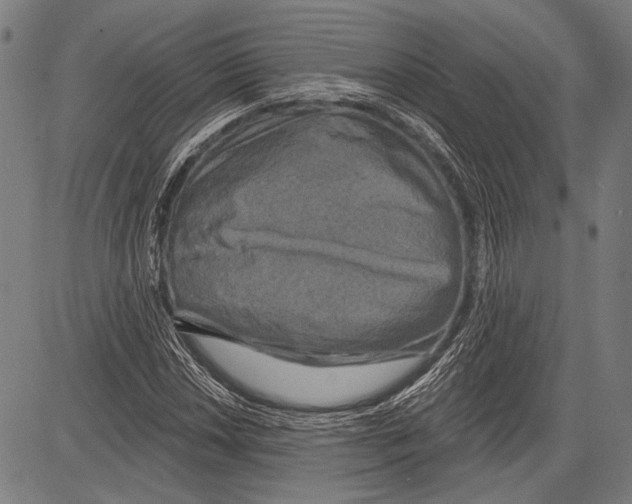 X0000081601018200702121544