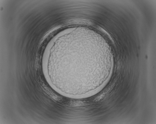 X0000081601019200702121544