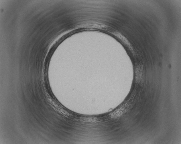 X0000081601020200702121544