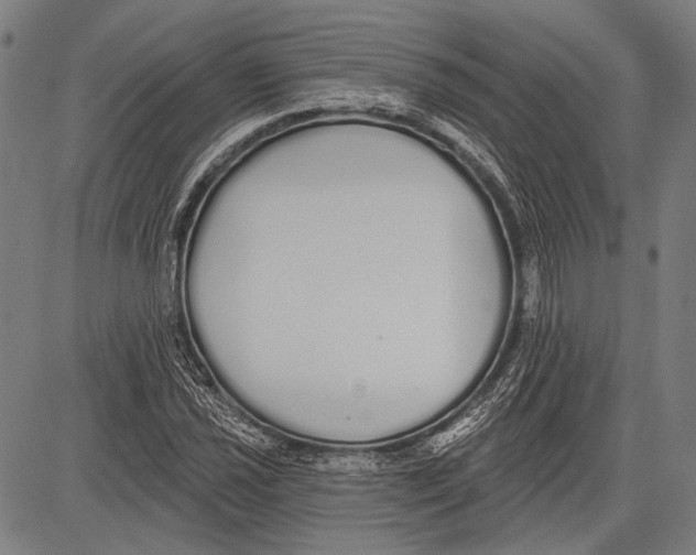 X0000081601021200702121544