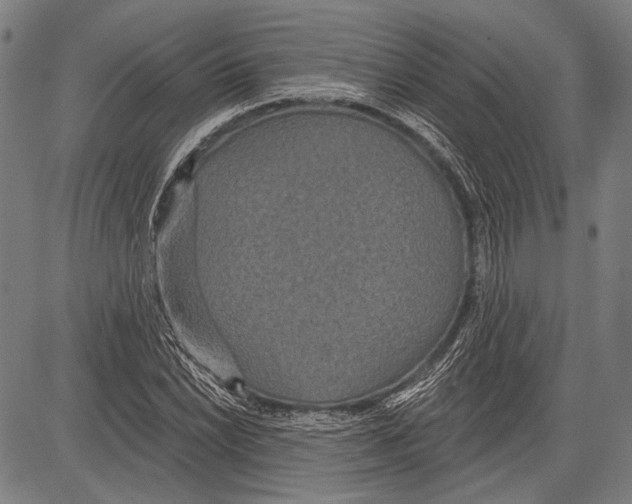 X0000081601022200702121544