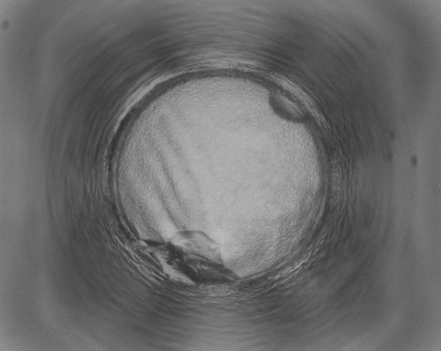 X0000081601023200702121544