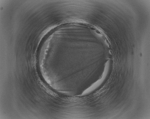 X0000081601024200702121544