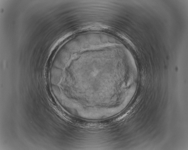 X0000081601026200702121544