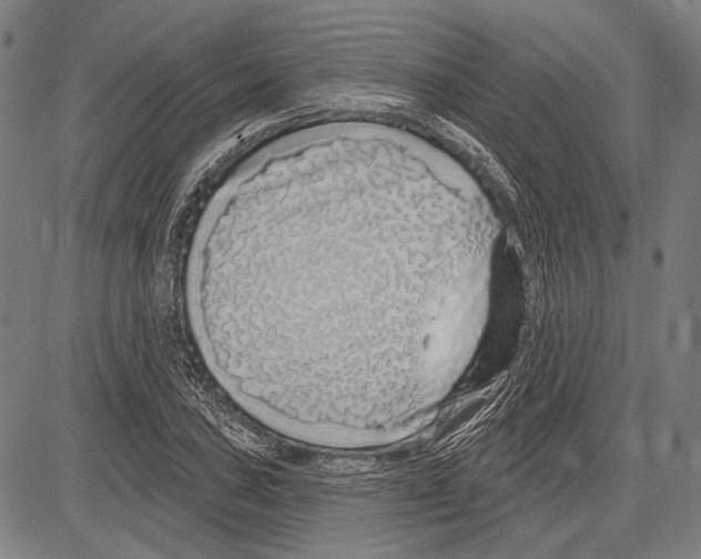 X0000081601027200702121544