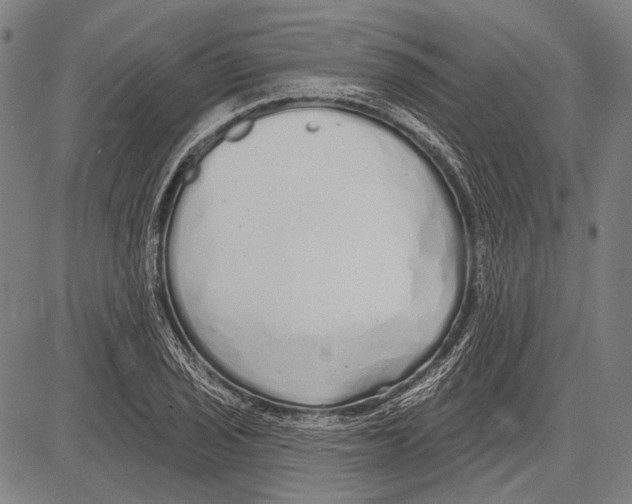 X0000081601029200702121544