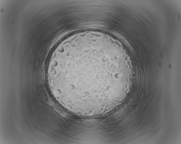 X0000081601031200702121544