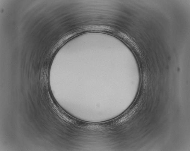 X0000081601033200702121544