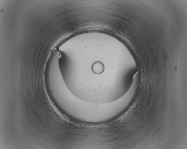 X0000081601034200702121544