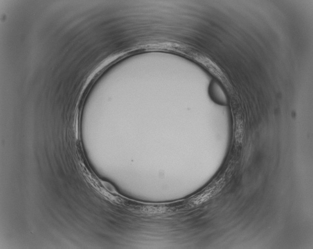 X0000081601036200702121544