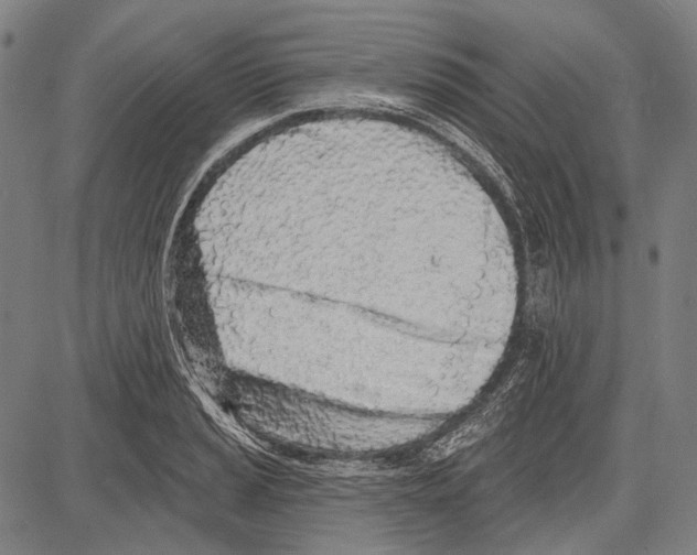 X0000081601037200702121544