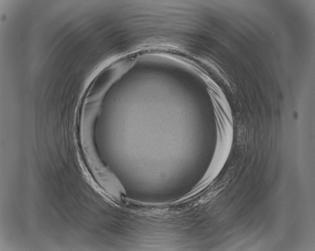 X0000081601038200702121544