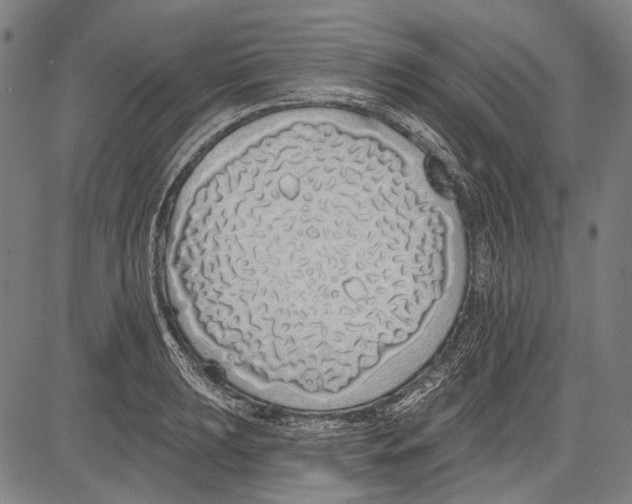 X0000081601039200702121544