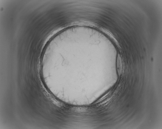 X0000081601040200702121544