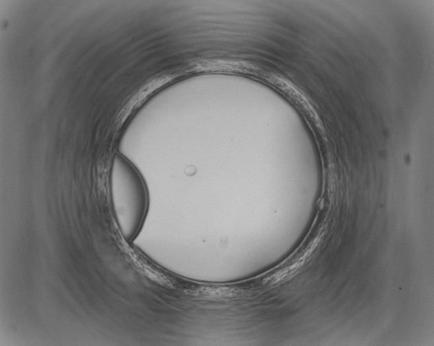 X0000081601041200702121544