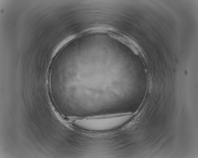 X0000081601042200702121544