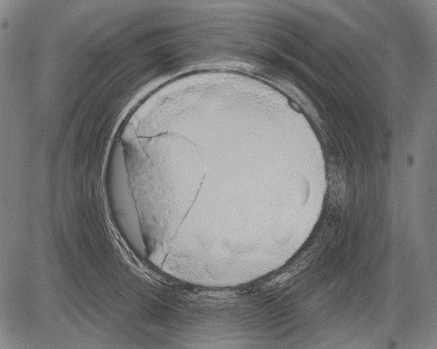 X0000081601044200702121544