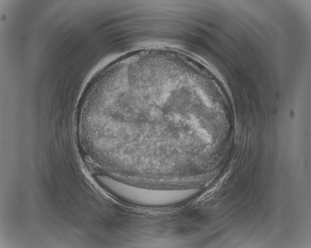 X0000081601045200702121544