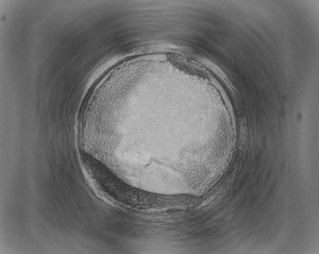 X0000081601047200702121544