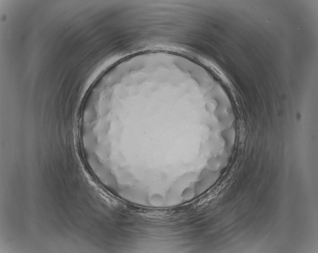 X0000081601048200702121544