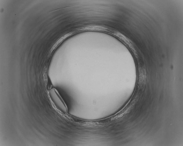 X0000081601049200702121544