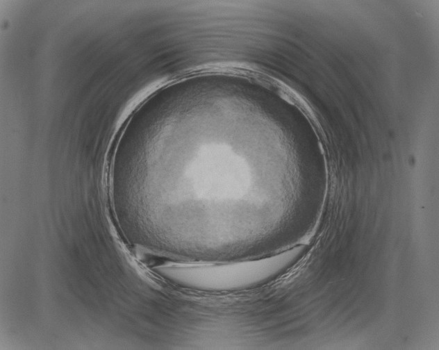 X0000081601050200702121544