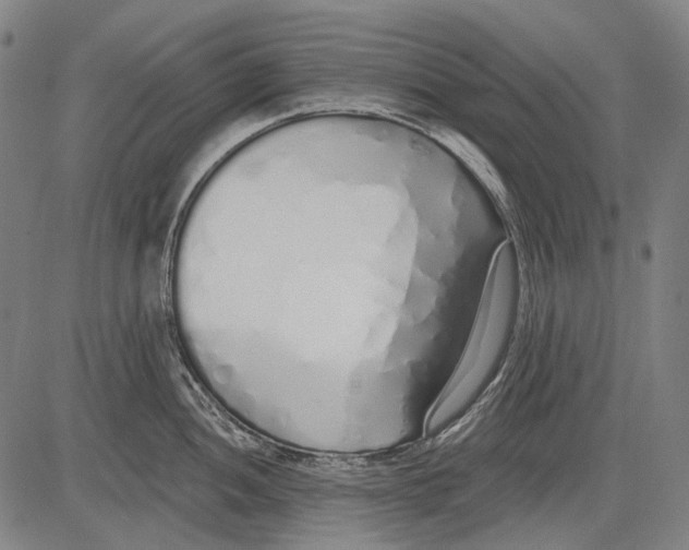 X0000081601052200702121544