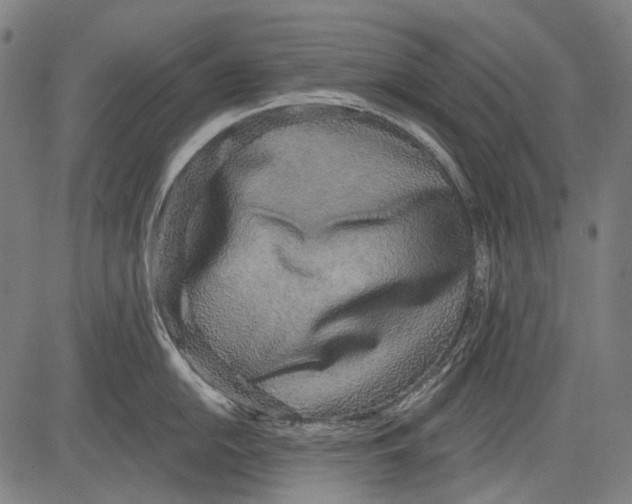 X0000081601054200702121544