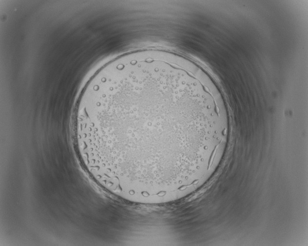 X0000081601056200702121544