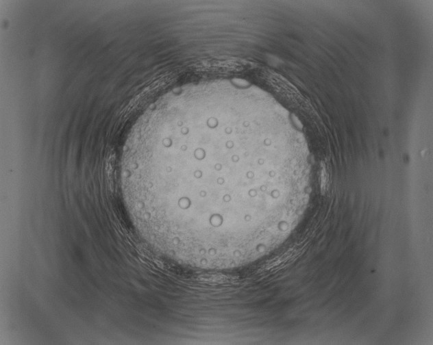 X0000081601059200702121544