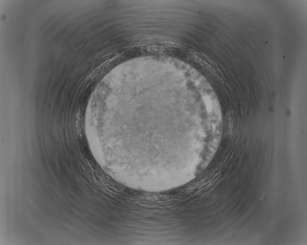 X0000081601060200702121544