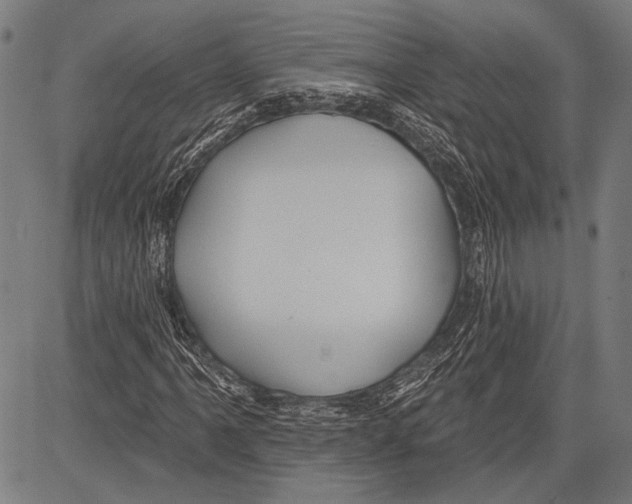 X0000081601061200702121544