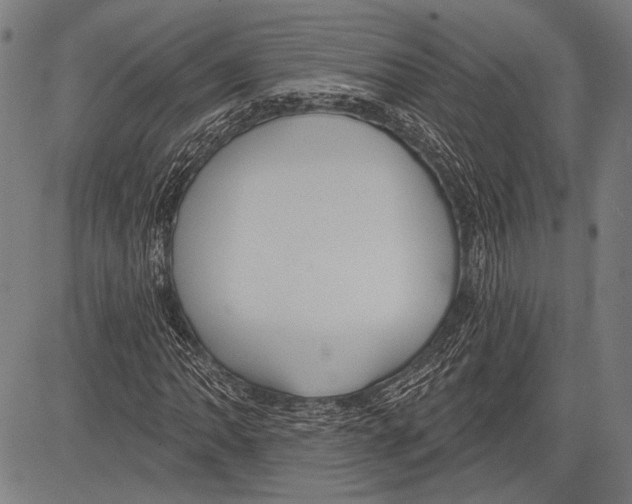 X0000081601062200702121544