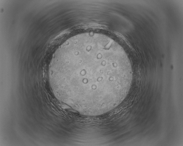 X0000081601063200702121544