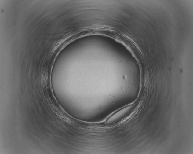 X0000081601065200702121544