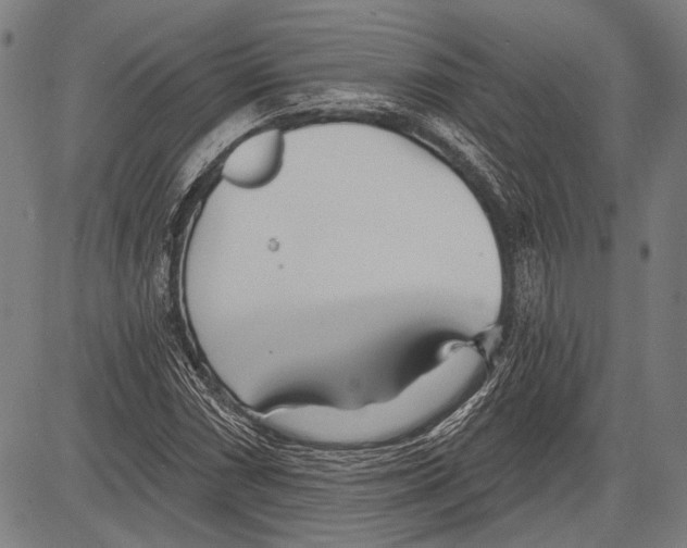 X0000081601066200702121544