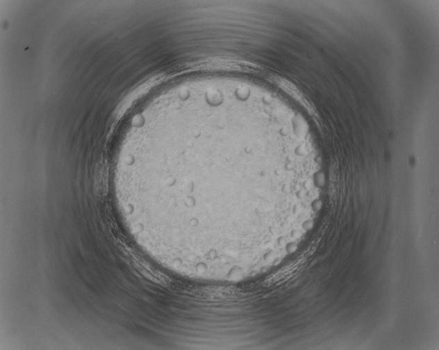 X0000081601067200702121543