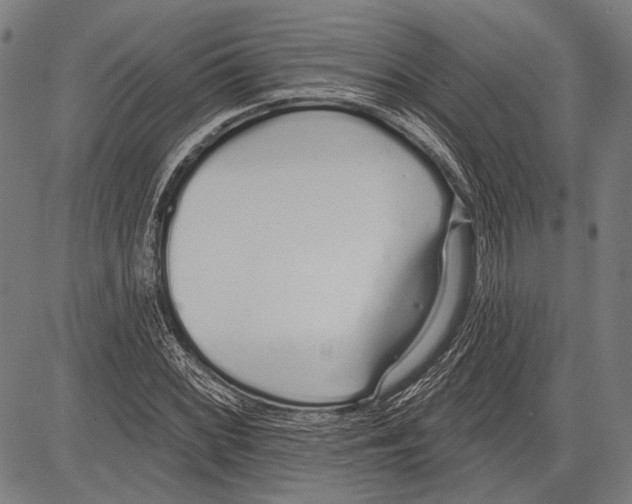 X0000081601068200702121543