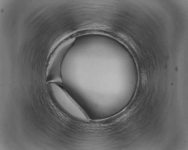 X0000081601069200702121543